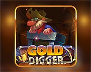 Gold Digger Gold Digger
